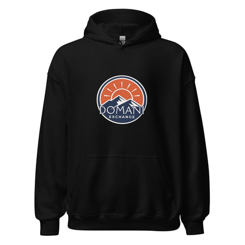 DomEx unisex hoodie in black - Domani Exchange brand emblem design